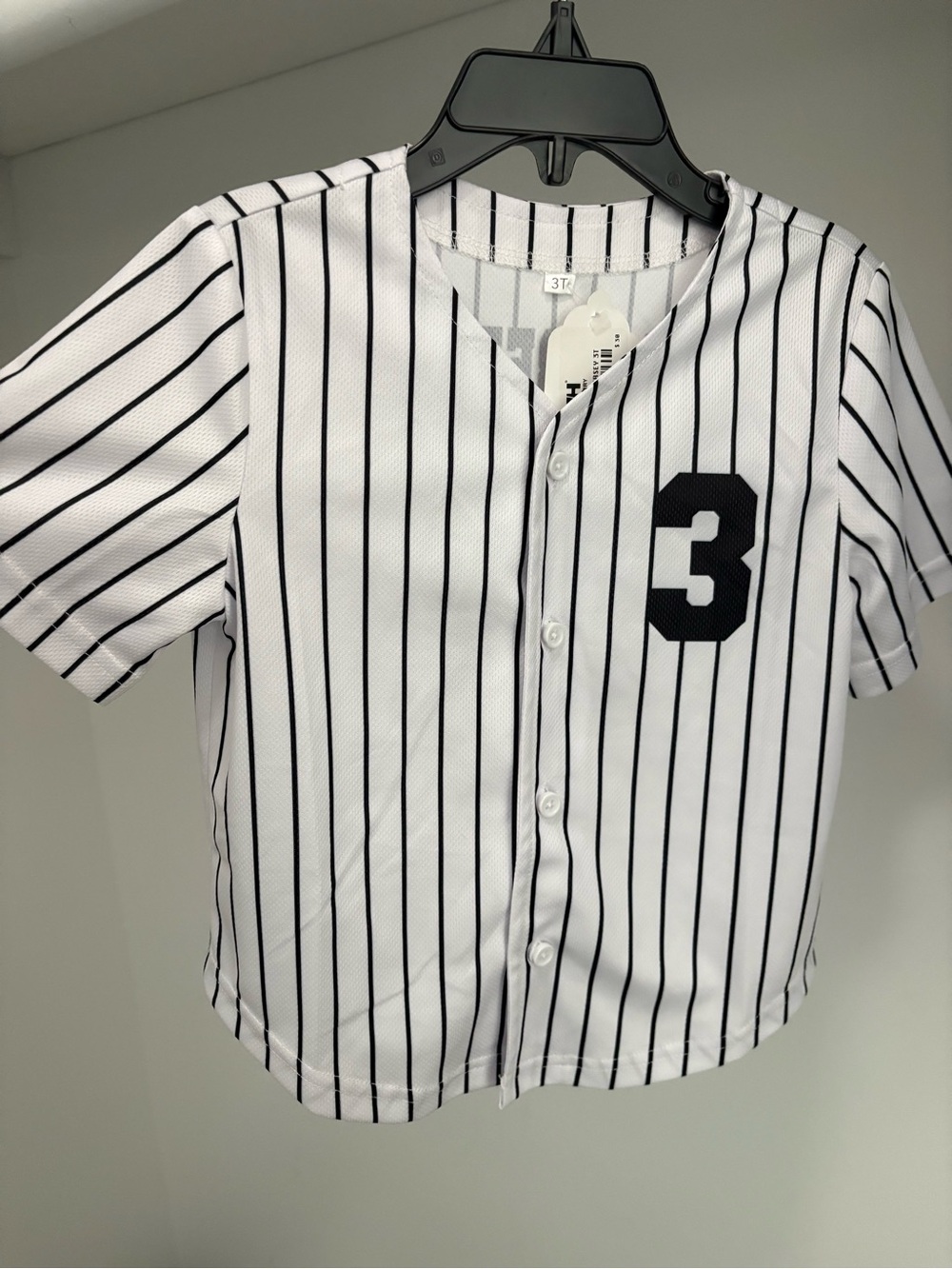 Raspberry Hills Pinstripe Baseball Jersey